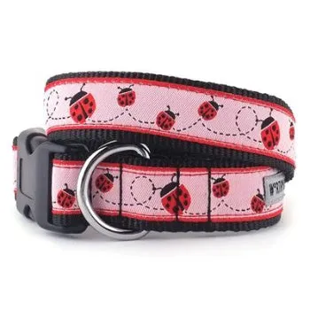 Ladybug Collar & Leash Collection
