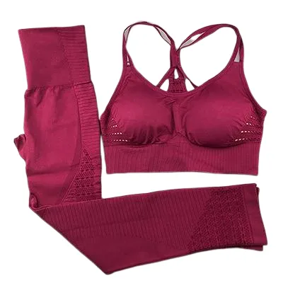 Seamless Yoga Set [NO SEAMS]